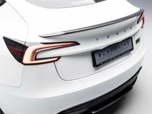 2024 Tesla Model 3 Performance — photo 8