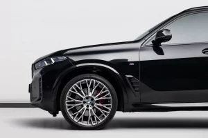 2025 BMW X5 xDrive 40i M Sport Pro — photo 6